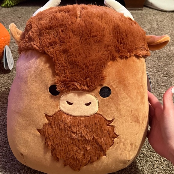 dunkie the buffalo squishmallow! - Picture 1 of 4